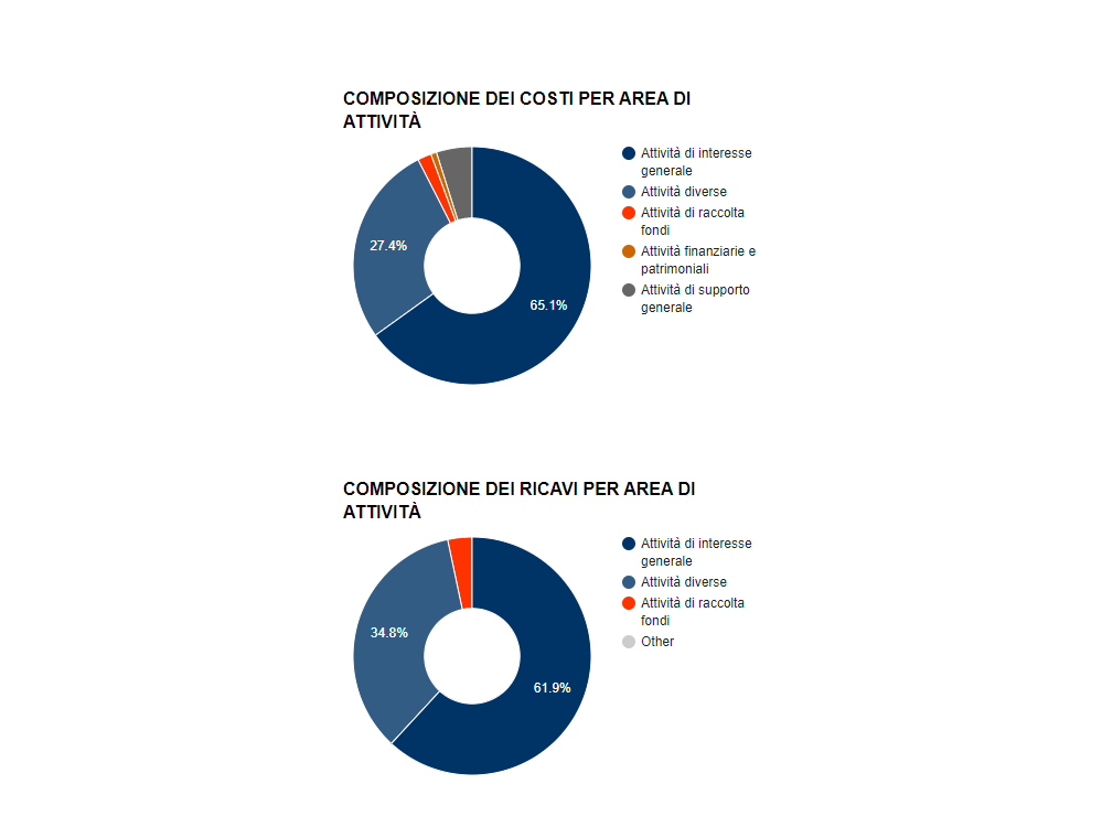 analisi di bilancio ets - grafico altro 1