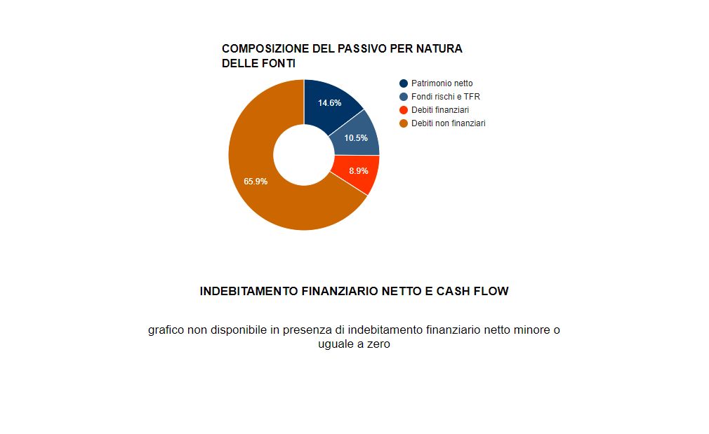 analisi di bilancio ets - grafico altro 2