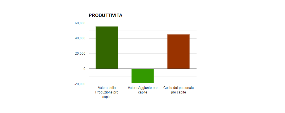 analisi di bilancio ets - grafico altro 3
