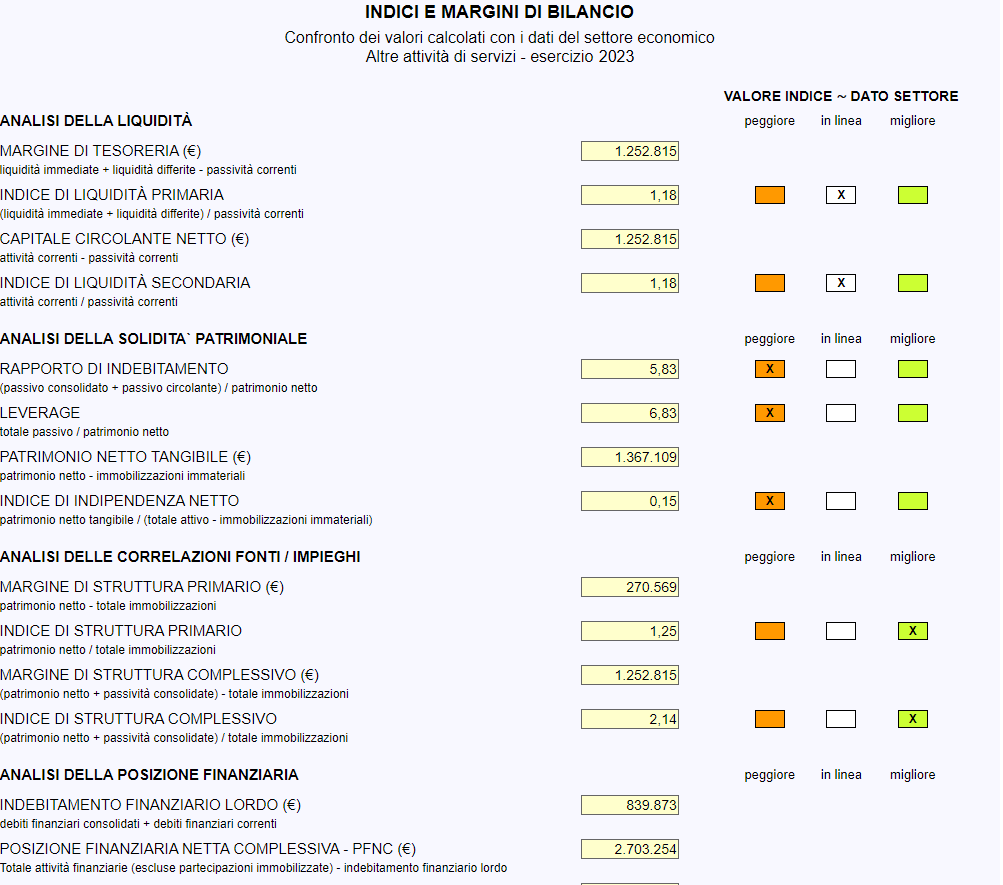 analisi di bilancio ets - indici e dati di settore 1