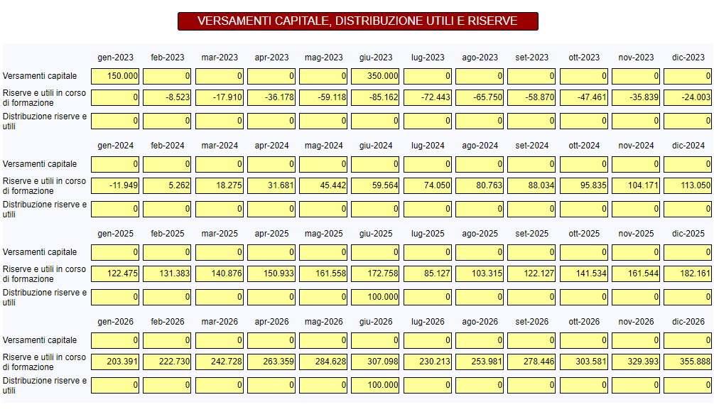Business Plan - versamenti capitale e distribuzione utili