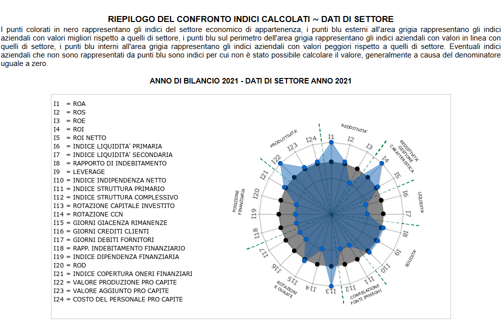 report analisi di bilancio in serie - 5